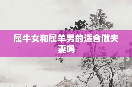属牛女和属羊男的适合做夫妻吗