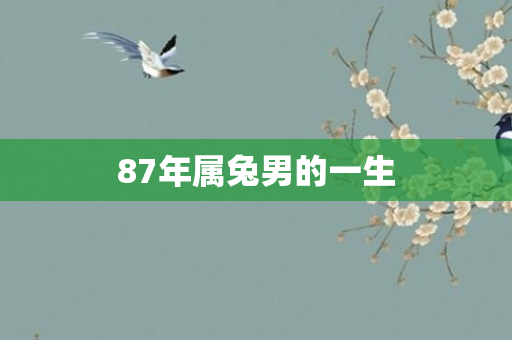 87年属兔男的一生