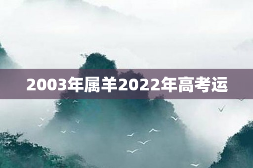 2003年属羊2022年高考运