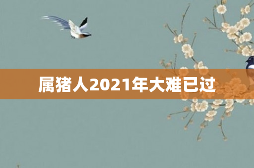 属猪人2021年大难已过