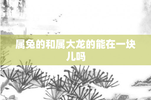 属兔的和属大龙的能在一块儿吗
