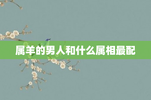 属羊的男人和什么属相最配