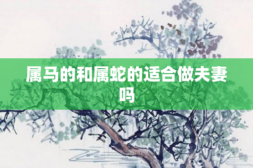 属马的和属蛇的适合做夫妻吗