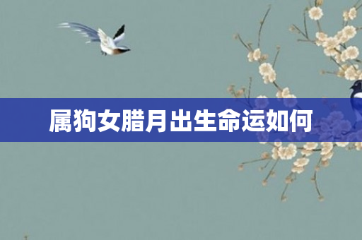 属狗女腊月出生命运如何