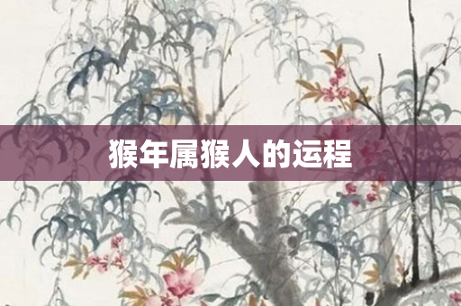 猴年属猴人的运程