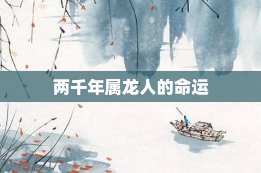 两千年属龙人的命运