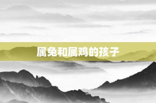 属兔和属鸡的孩子