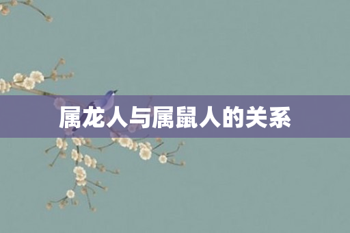 属龙人与属鼠人的关系