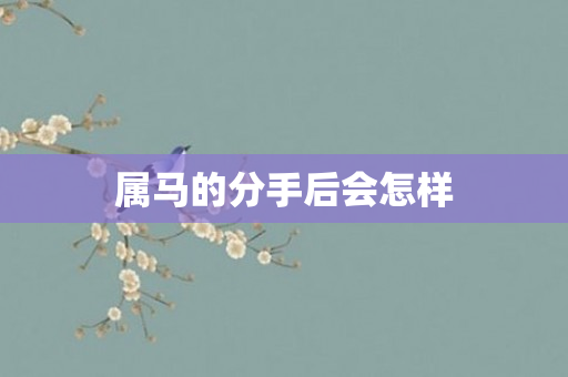 属马的分手后会怎样