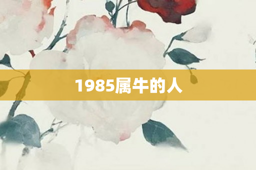 1985属牛的人