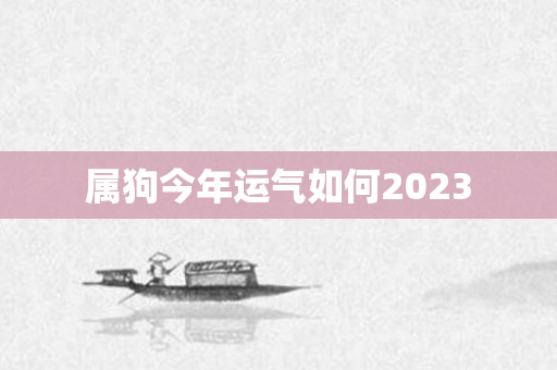 属狗今年运气如何2023