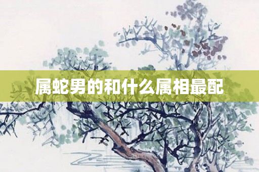 属蛇男的和什么属相最配