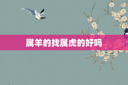 属羊的找属虎的好吗