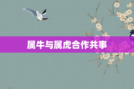 属牛与属虎合作共事