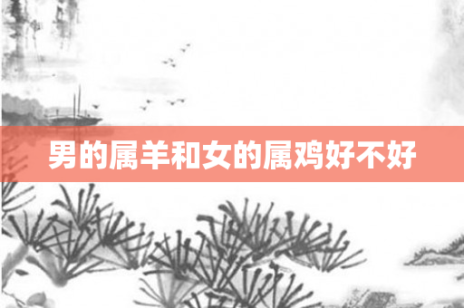 男的属羊和女的属鸡好不好
