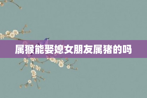 属猴能娶媳女朋友属猪的吗
