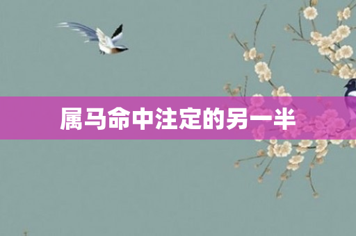 属马命中注定的另一半