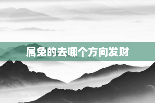 属兔的去哪个方向发财