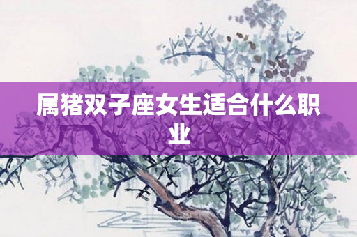 属猪双子座女生适合什么职业