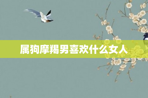 属狗摩羯男喜欢什么女人