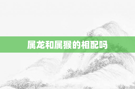 属龙和属猴的相配吗