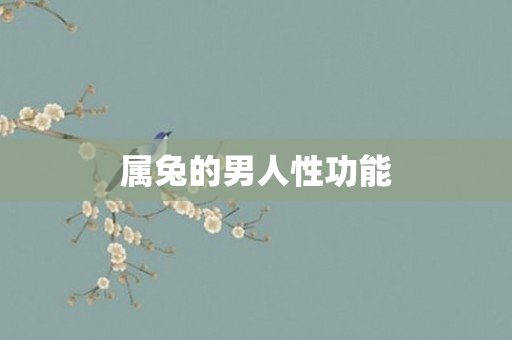 属兔的男人性功能