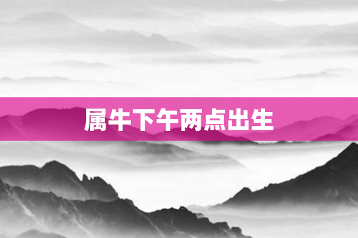 属牛下午两点出生