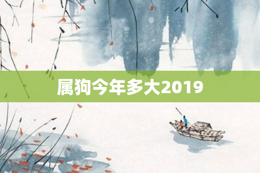 属狗今年多大2019