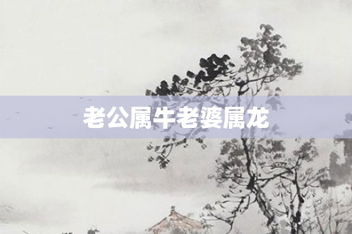 老公属牛老婆属龙