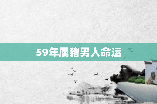 59年属猪男人命运