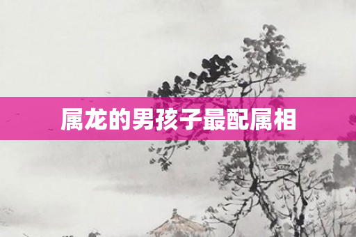 属龙的男孩子最配属相