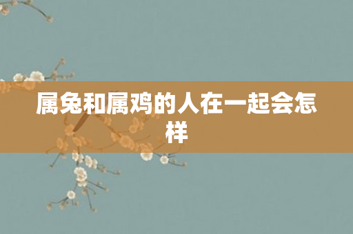 属兔和属鸡的人在一起会怎样