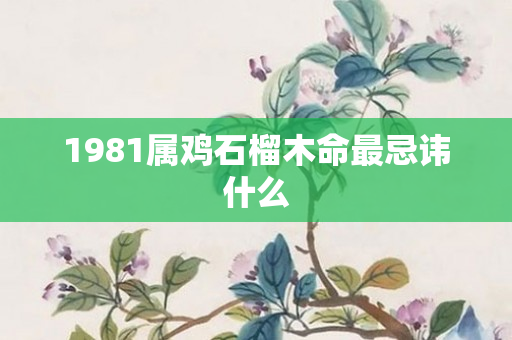 1981属鸡石榴木命最忌讳什么