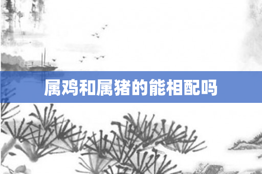 属鸡和属猪的能相配吗