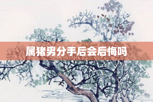 属猪男分手后会后悔吗