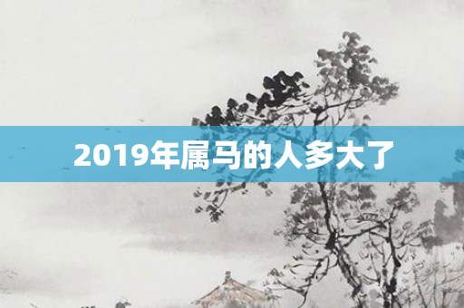 2019年属马的人多大了