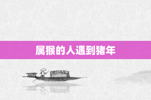 属猴的人遇到猪年