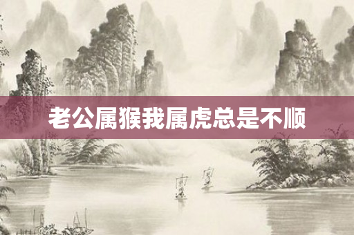 老公属猴我属虎总是不顺