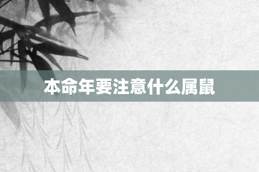 本命年要注意什么属鼠