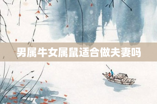 男属牛女属鼠适合做夫妻吗