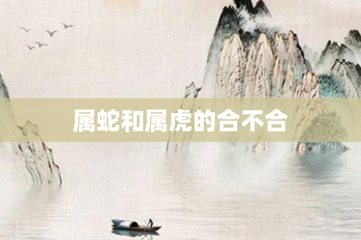 属蛇和属虎的合不合