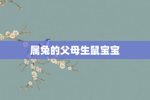 属兔的父母生鼠宝宝