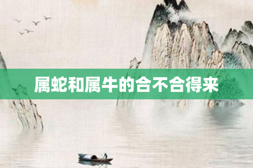 属蛇和属牛的合不合得来