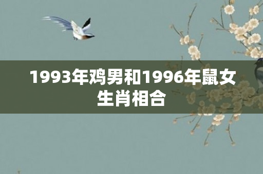 1993年鸡男和1996年鼠女生肖相合