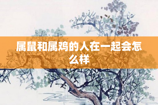 属鼠和属鸡的人在一起会怎么样