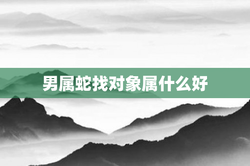 男属蛇找对象属什么好