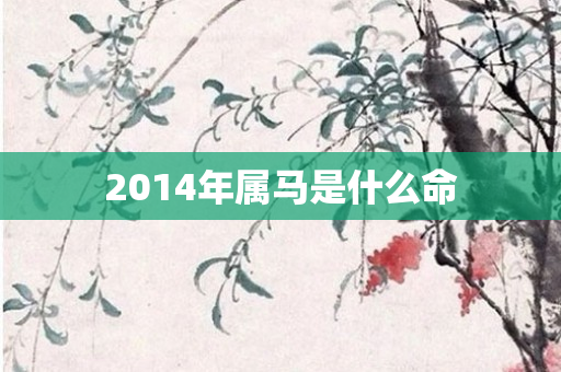 2014年属马是什么命