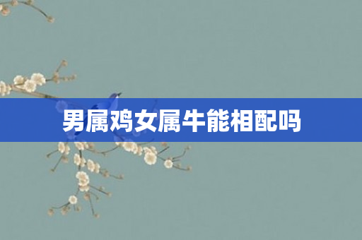 男属鸡女属牛能相配吗