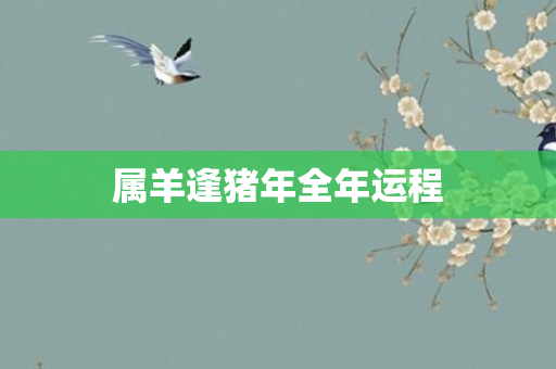 属羊逢猪年全年运程