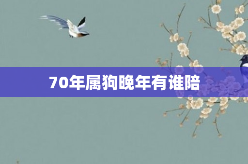 70年属狗晚年有谁陪